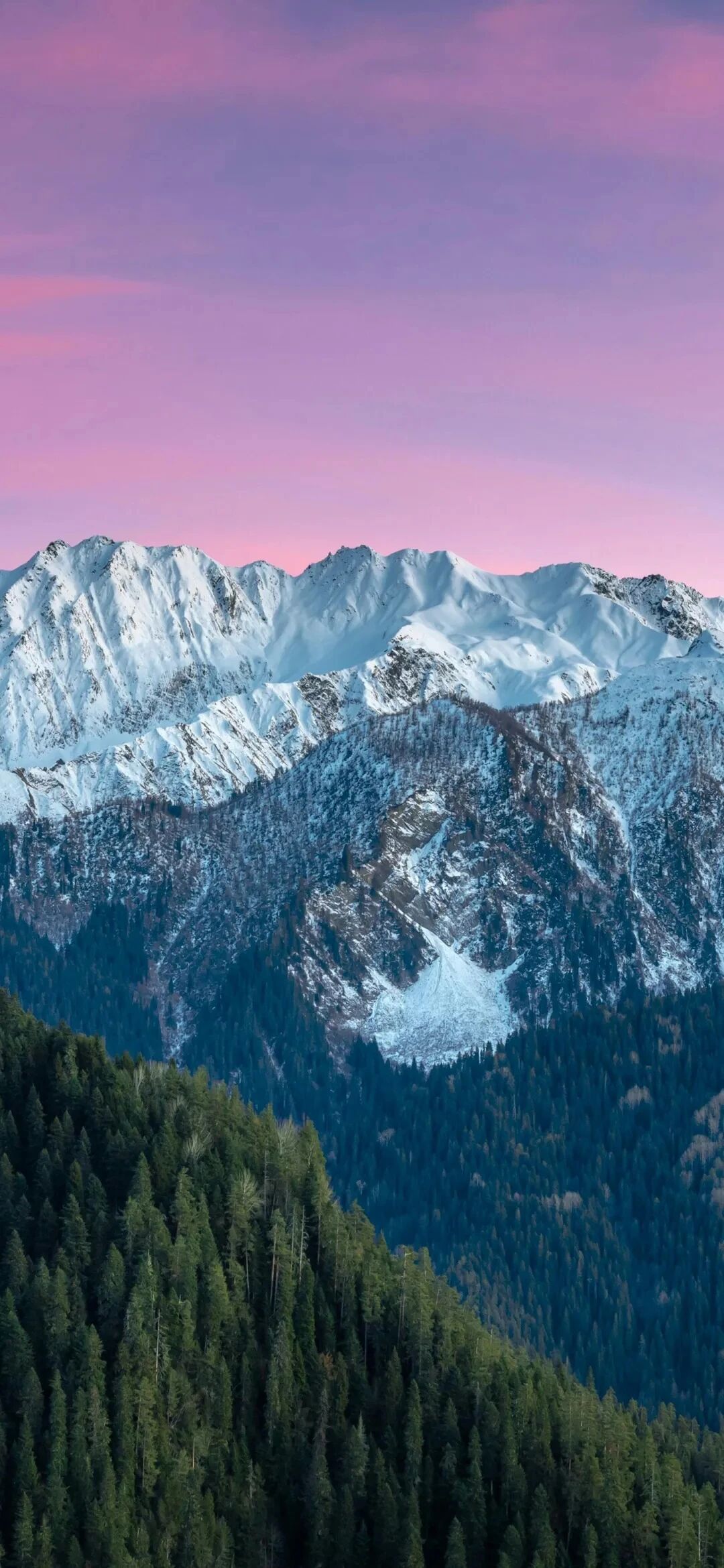 风景