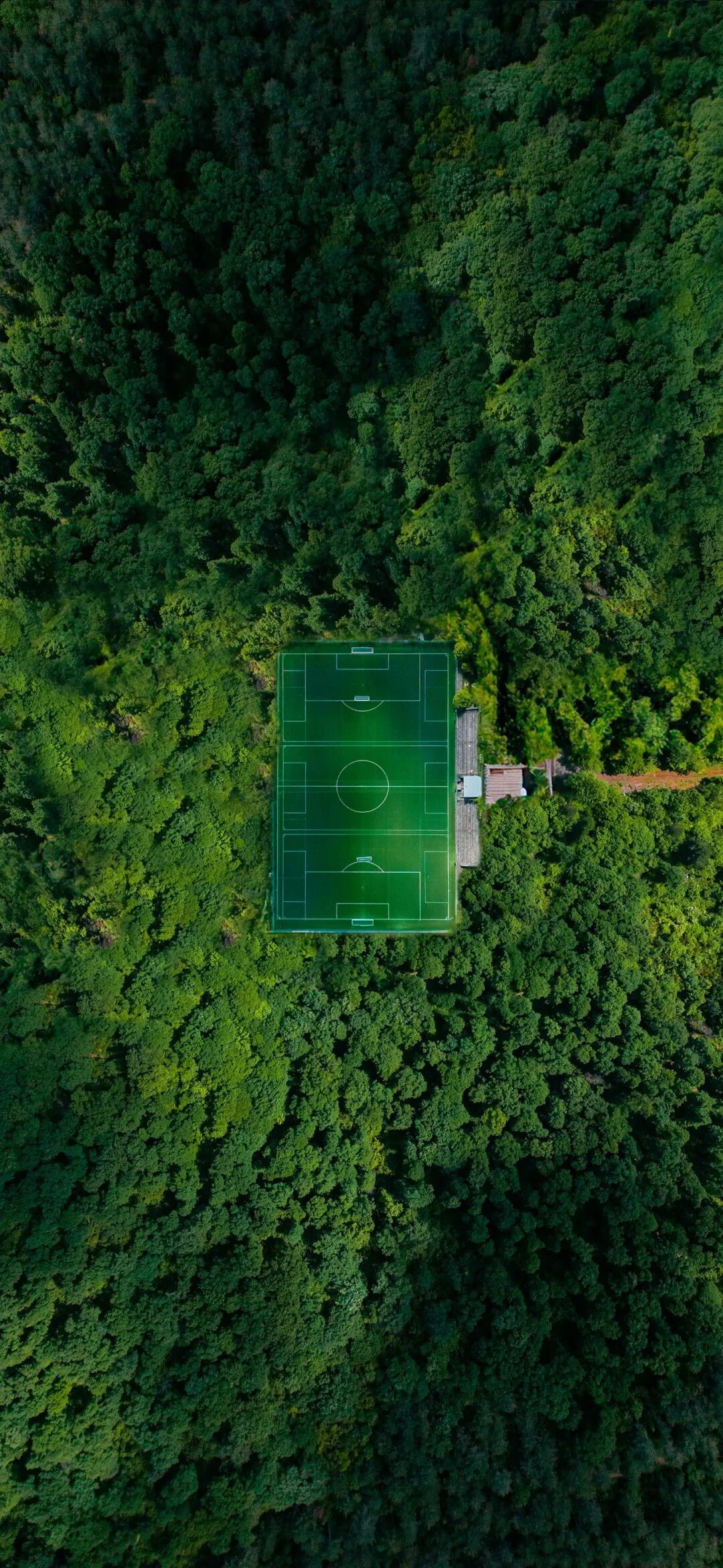 风景