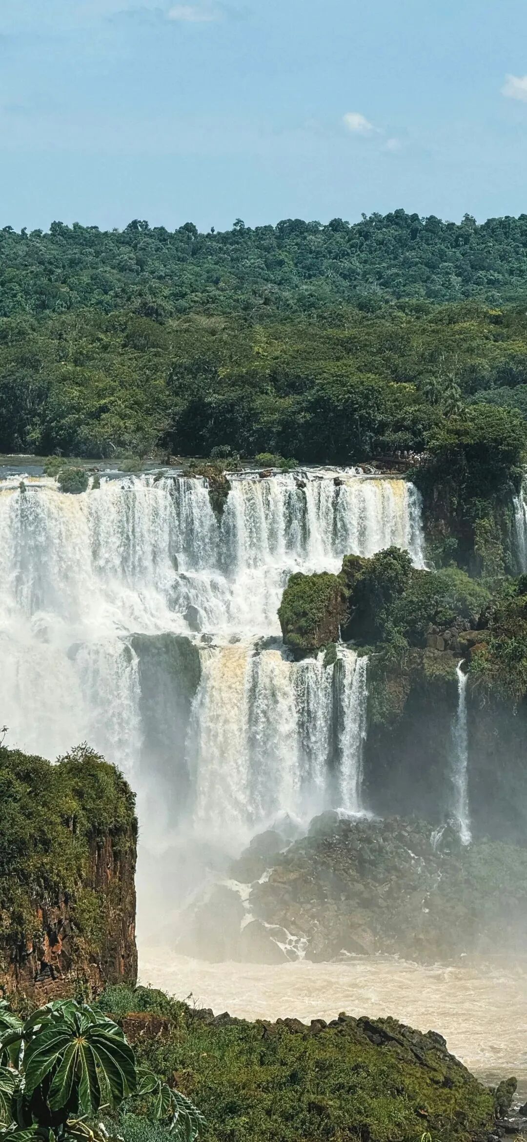 风景