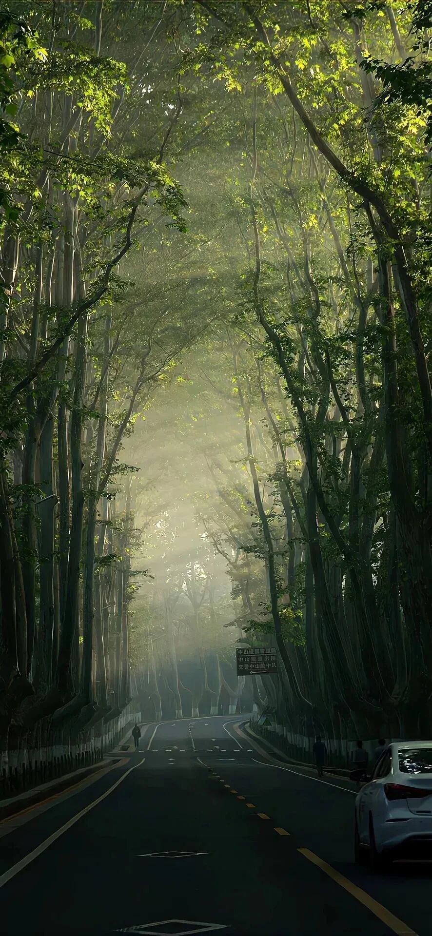风景