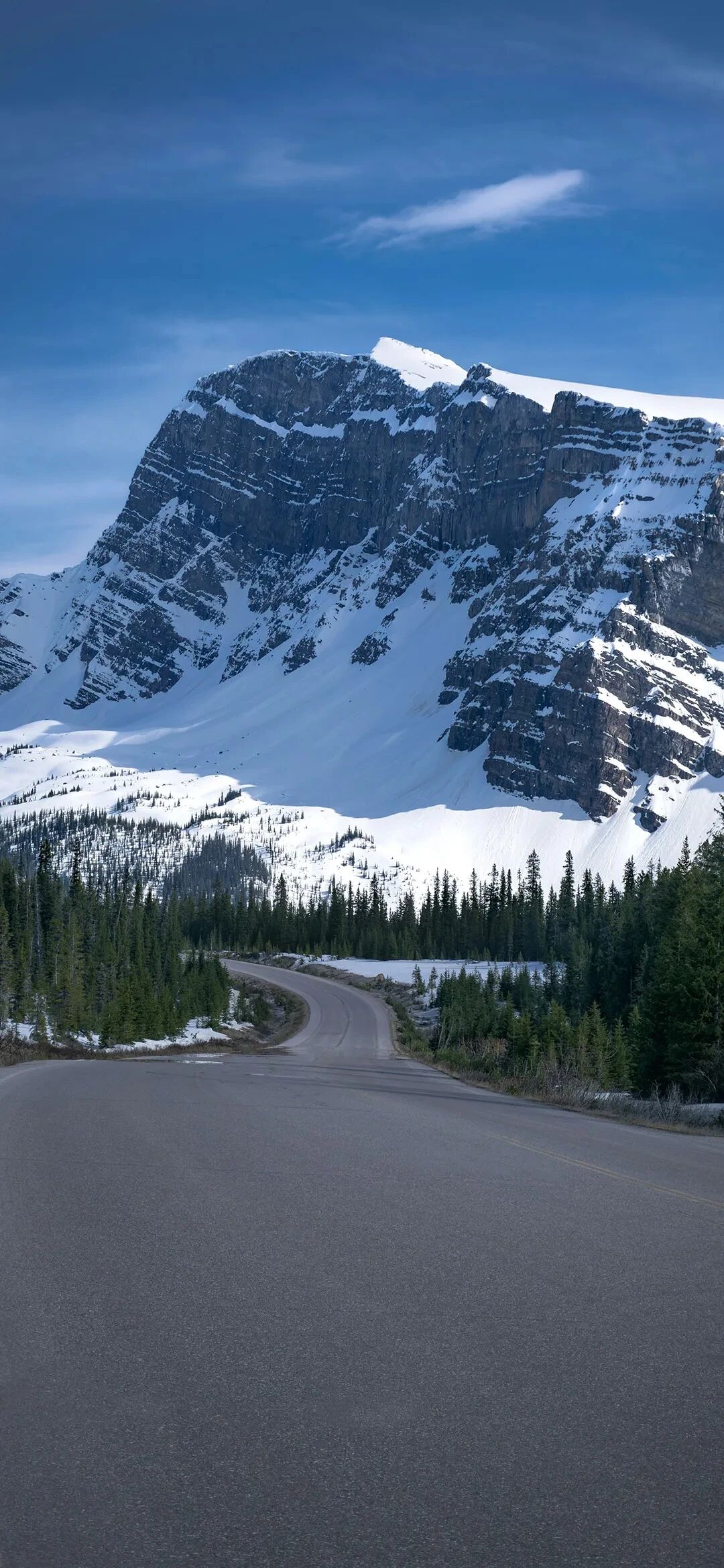 风景