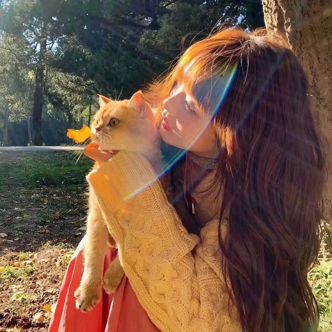 抱着猫咪秋天光感侧脸女生头像