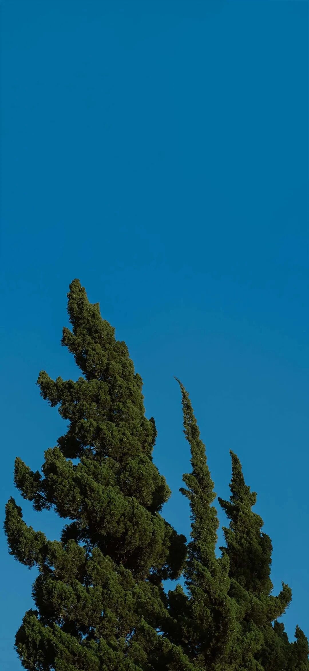 风景