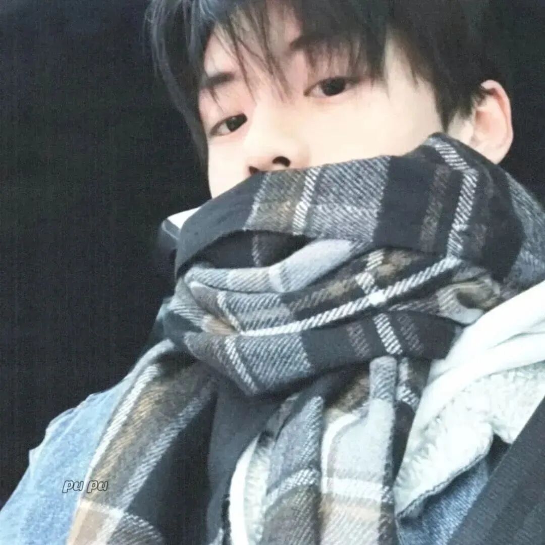 weijingzhuqixi围巾单人真人情侣头像