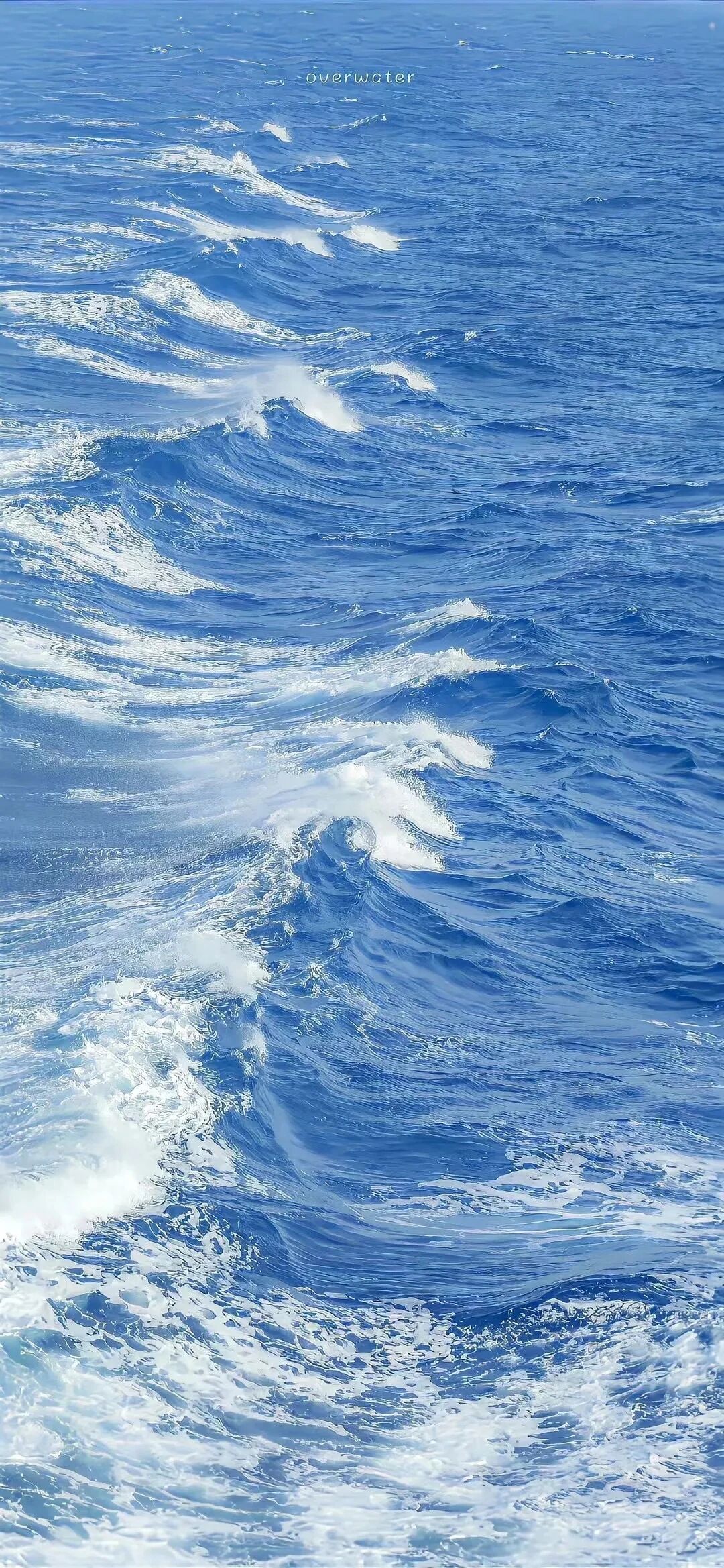 风景
