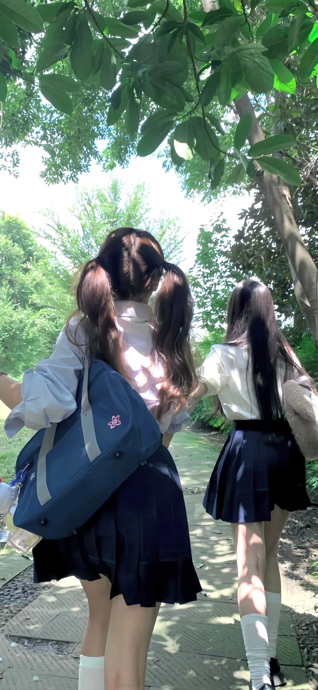 抖音热门