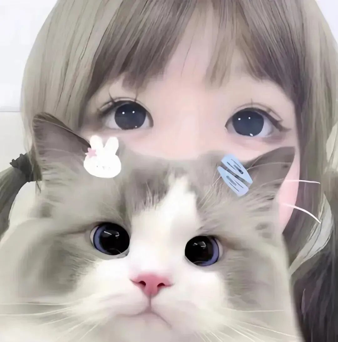抱着猫咪少萝女生头像