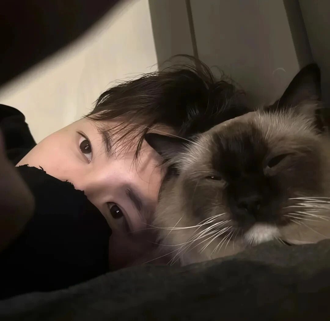 抱着猫咪帅气男生头像