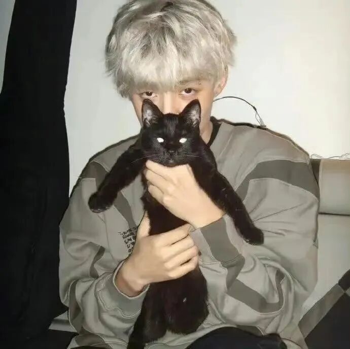 抱着猫咪个性男生头像