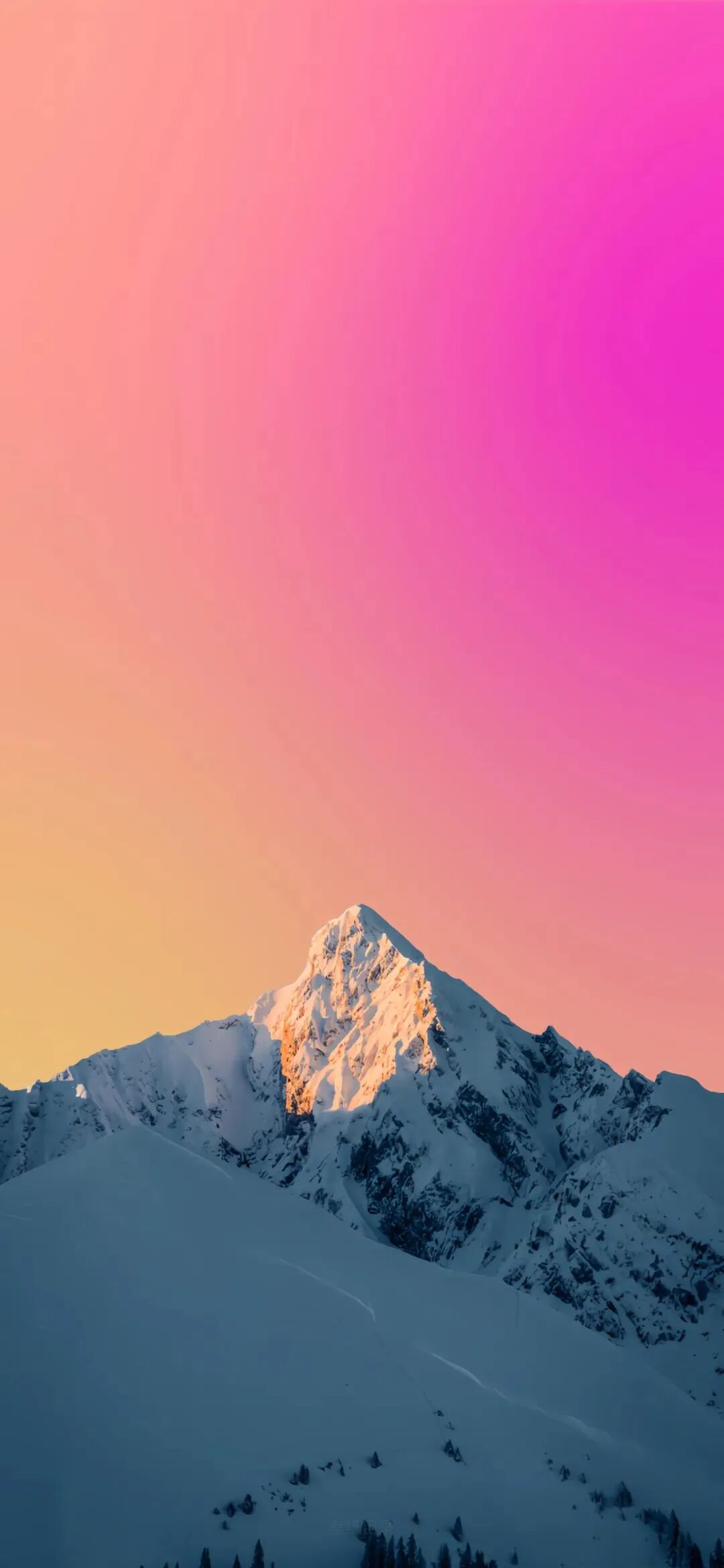 风景