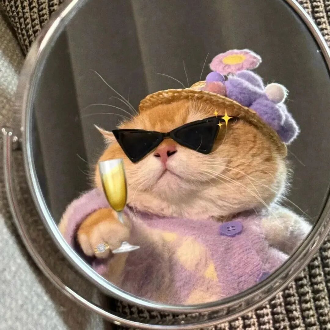 墨镜猫咪萌宠头像