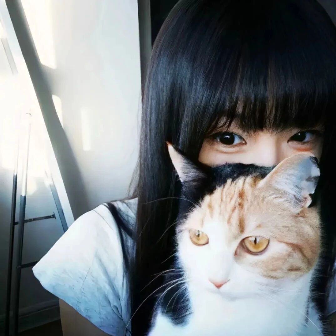 抱着猫咪温柔女生头像