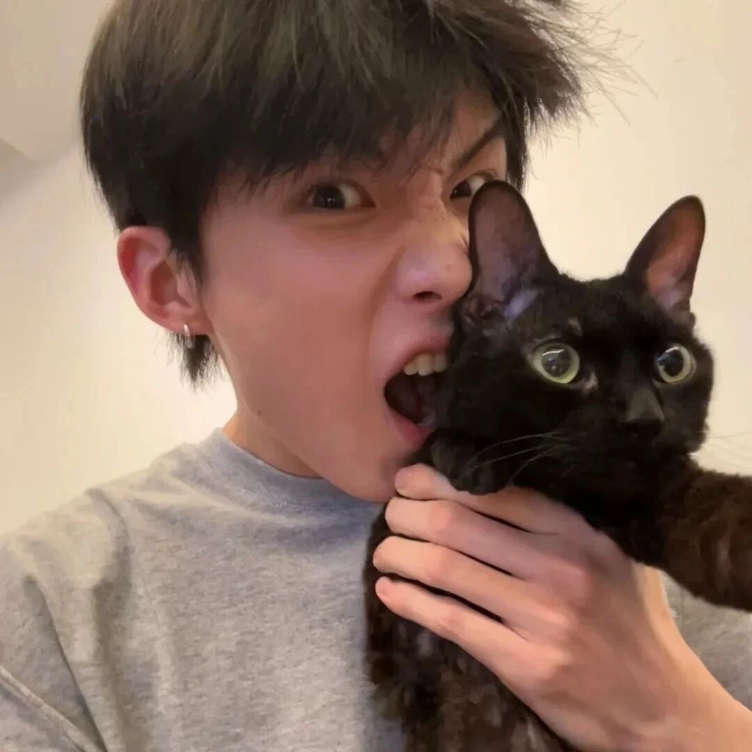 抱着猫咪男生头像
