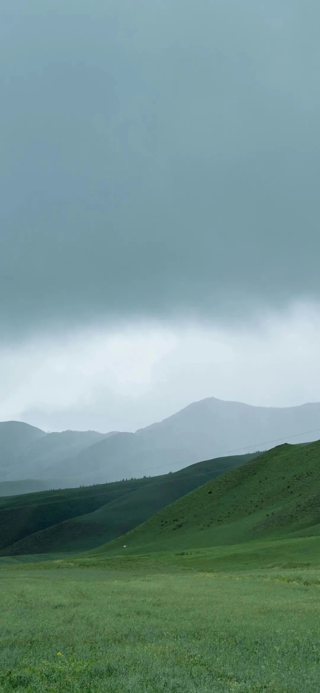 风景