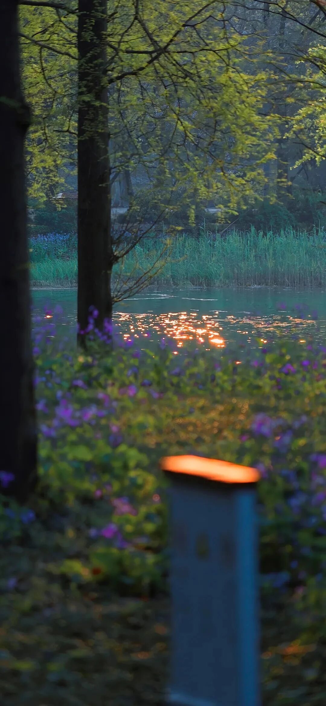 风景