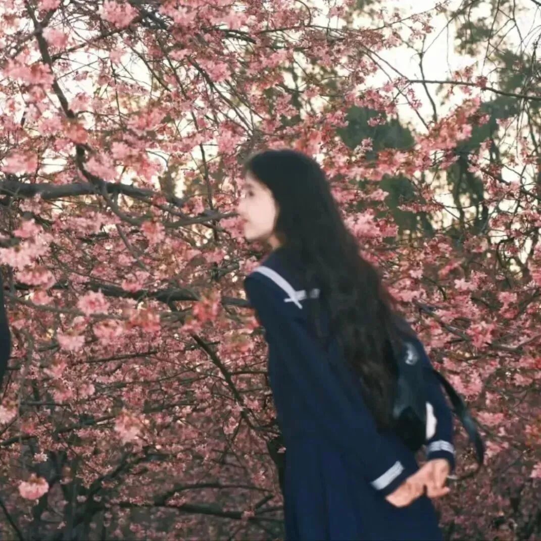 xuenghuayingxiaxinsan学院风真人情侣头像