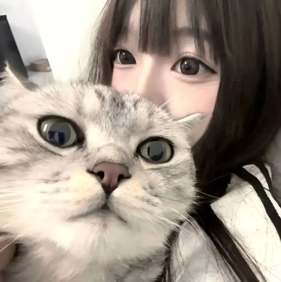 抱着猫眯甜妹女生头像