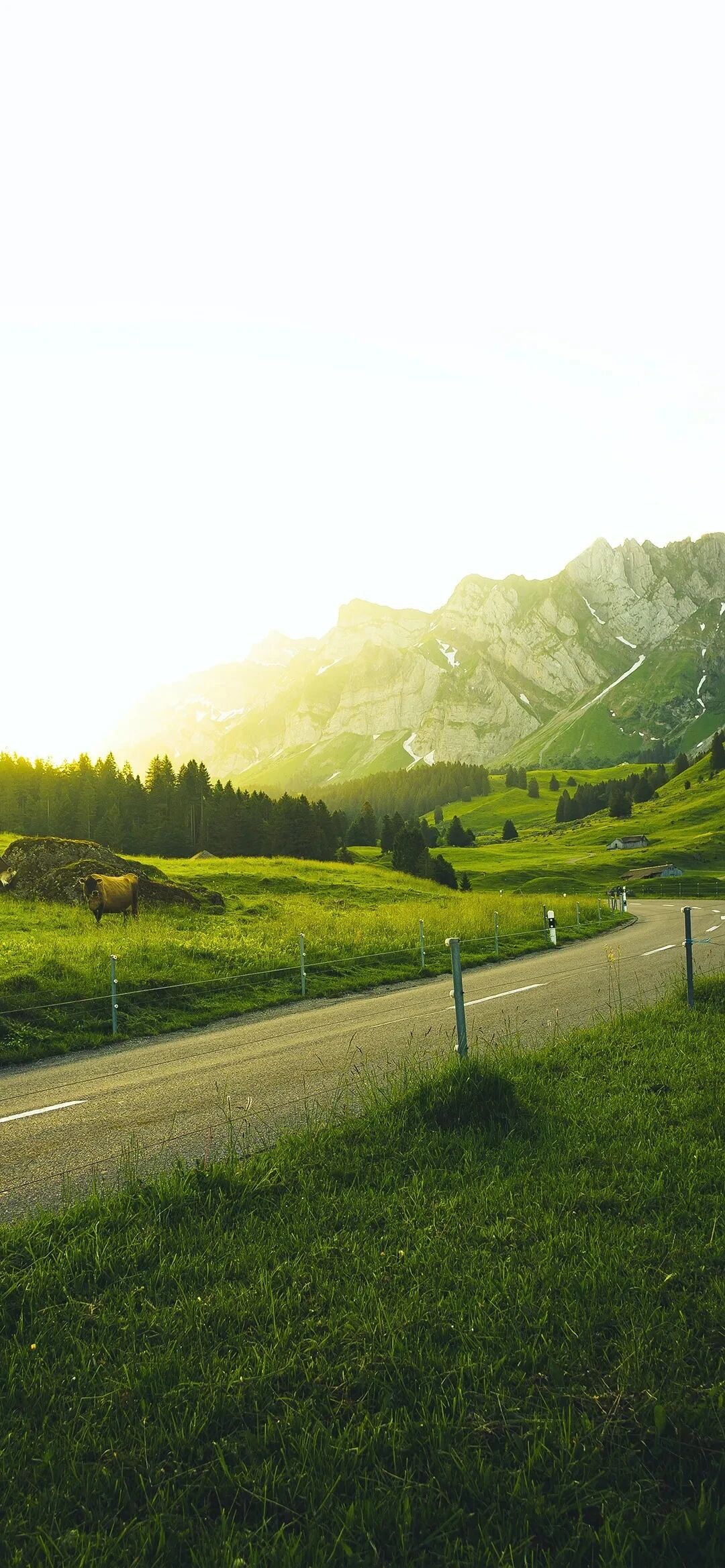 风景