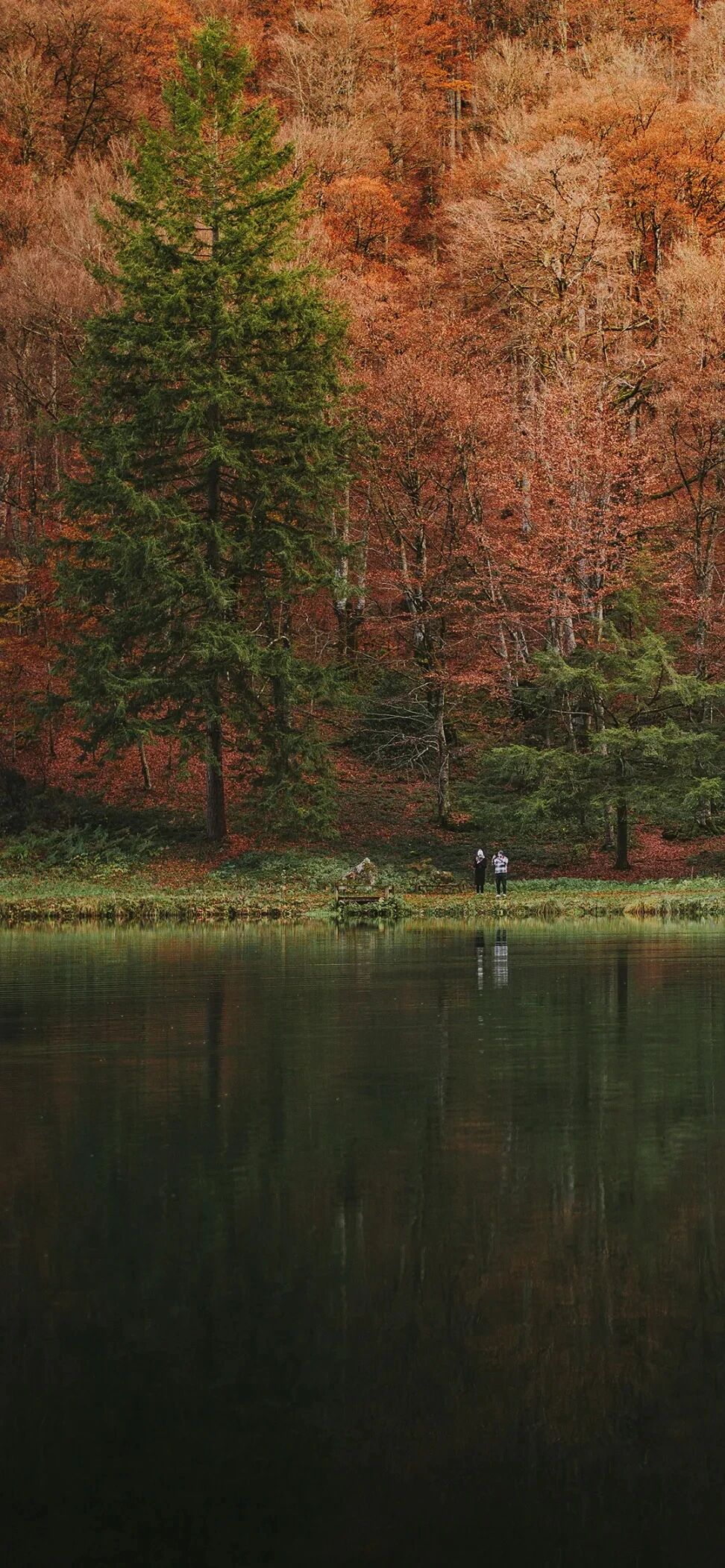 风景