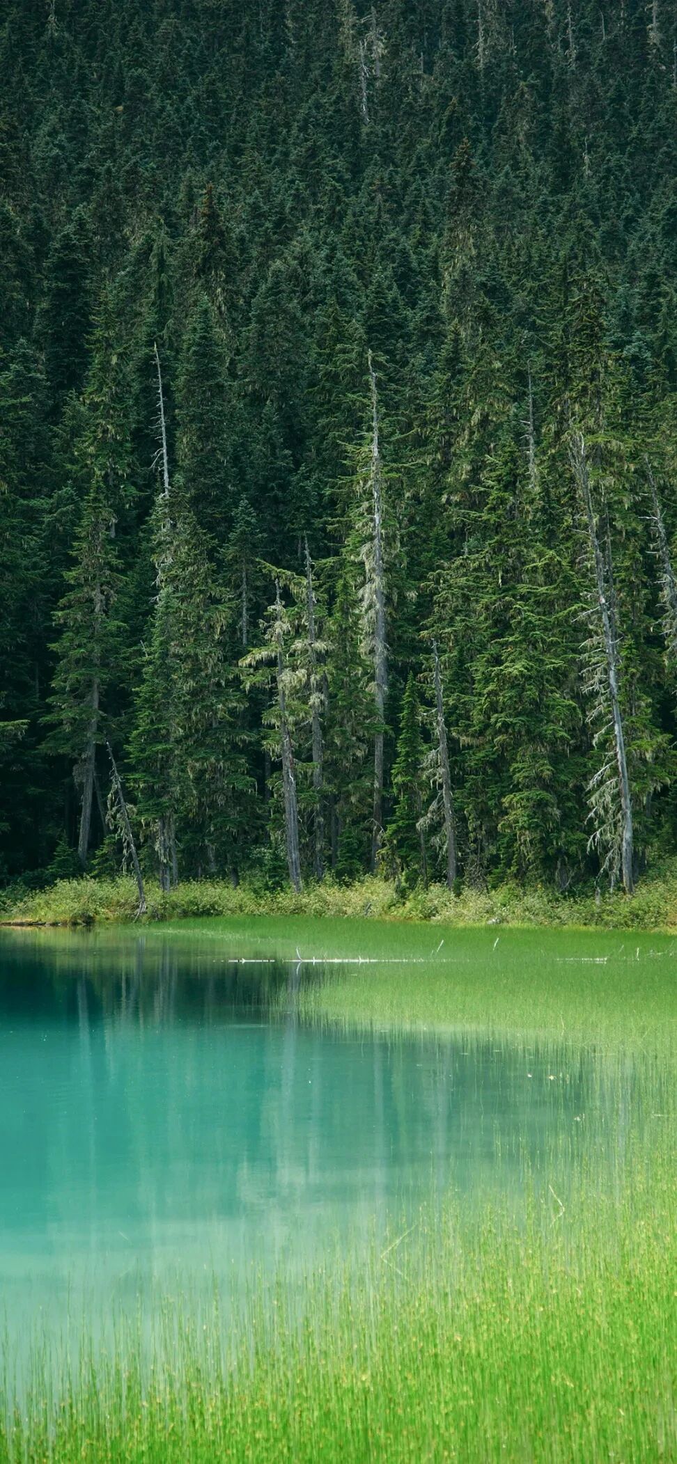 风景