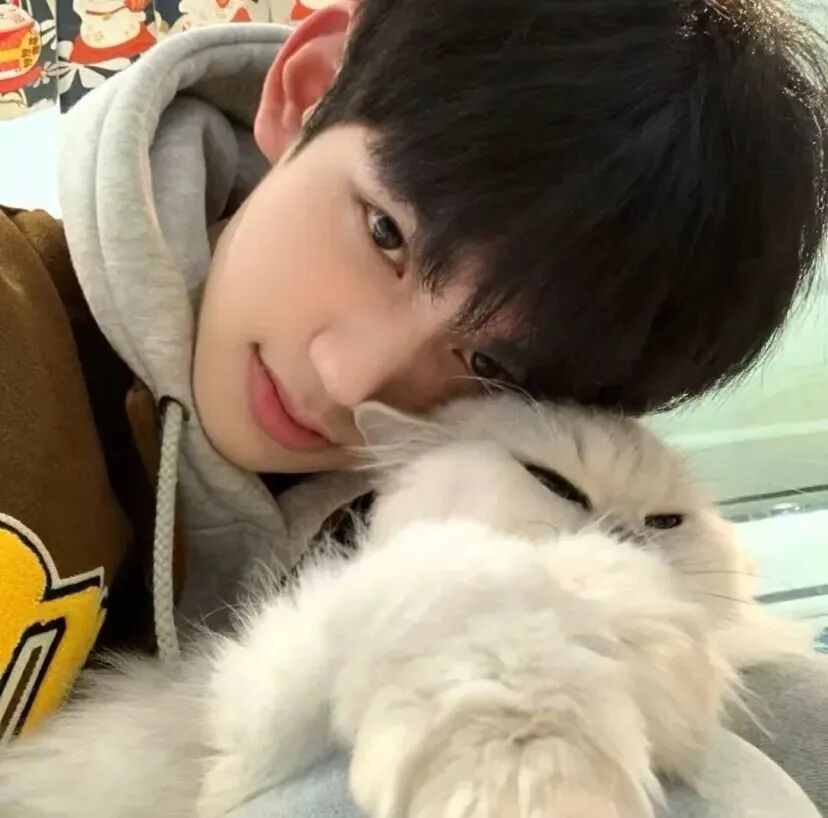 抱着猫咪小众男生头像