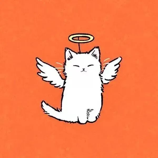 可爱情侣头像猫咪头像