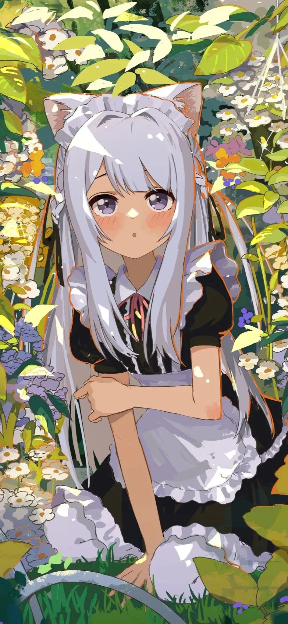 动漫