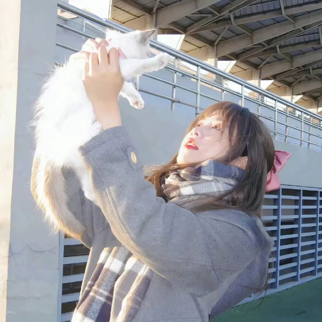 抱着猫咪小众女生头像