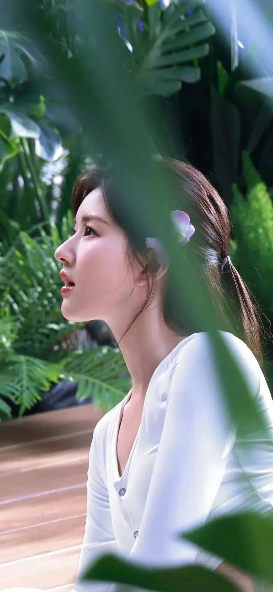 爱豆