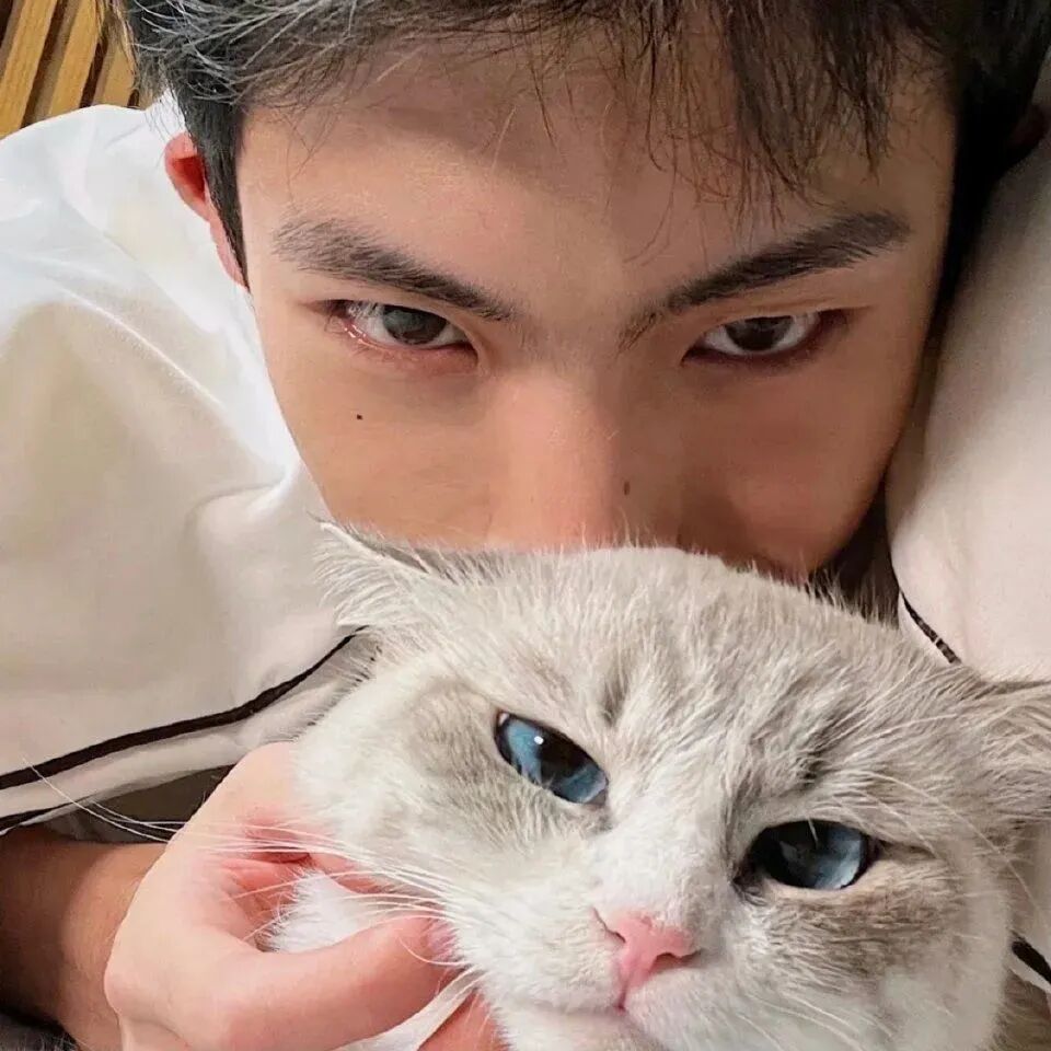 抱着猫咪帅气男生头像