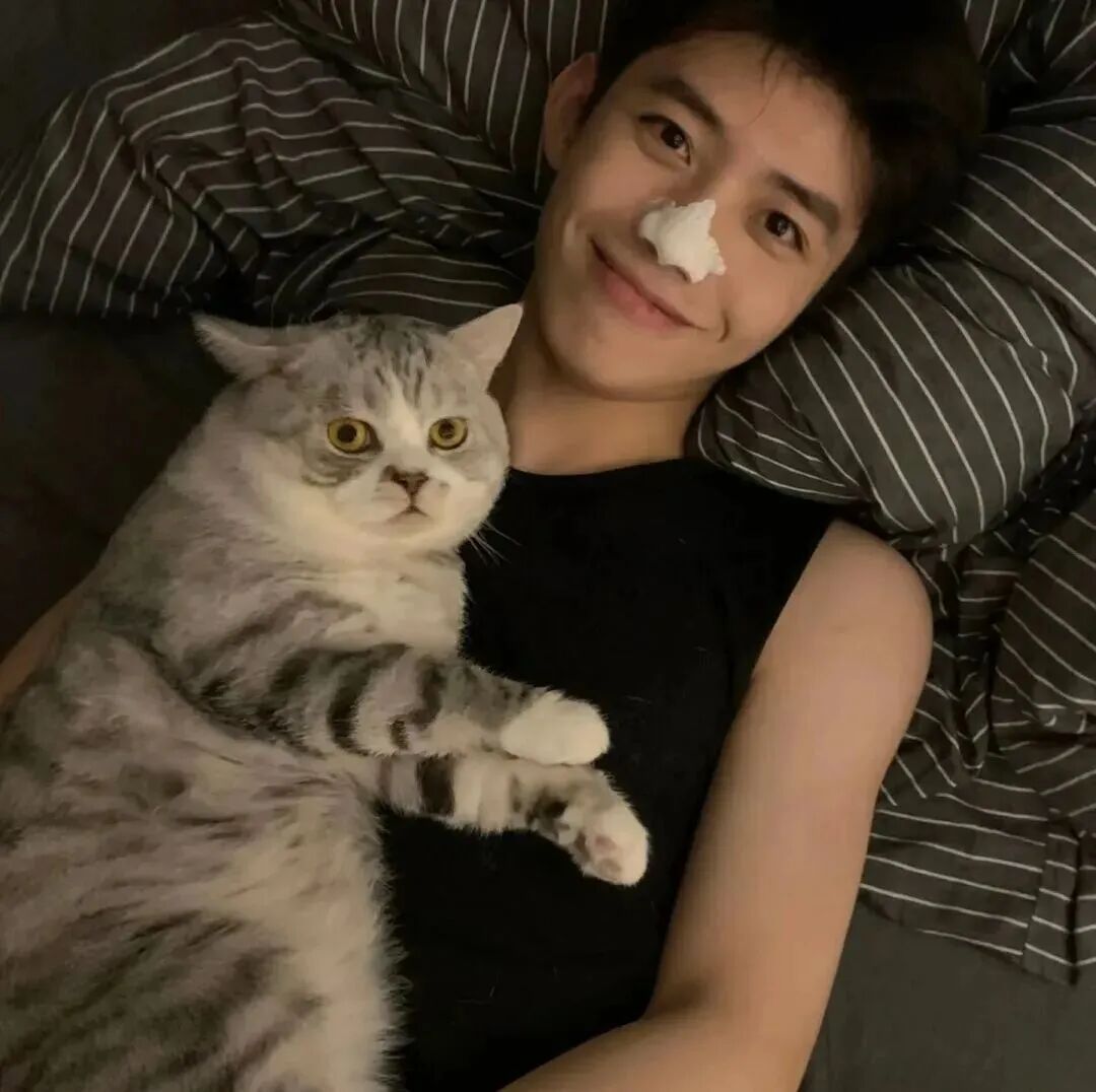 抱着猫咪阳光男生头像