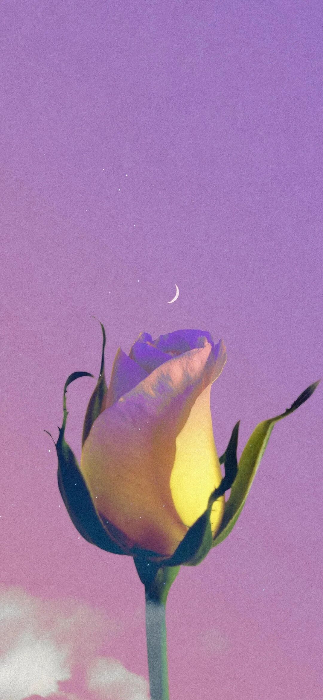 什锦