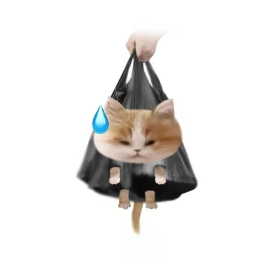 daizimaomikouqixi可爱猫咪卡通情侣头像
