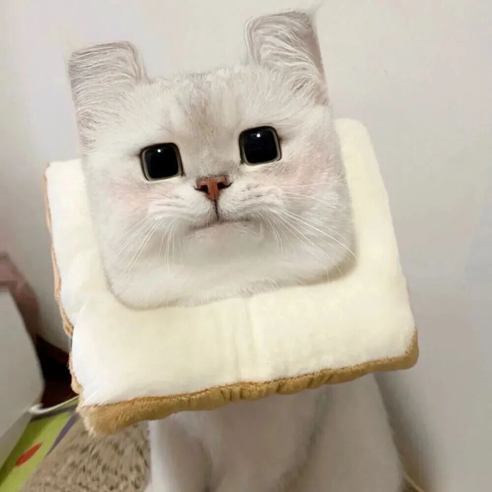 sdmaogouthongczhouyu沙雕搞怪猫狗萌宠情侣头像