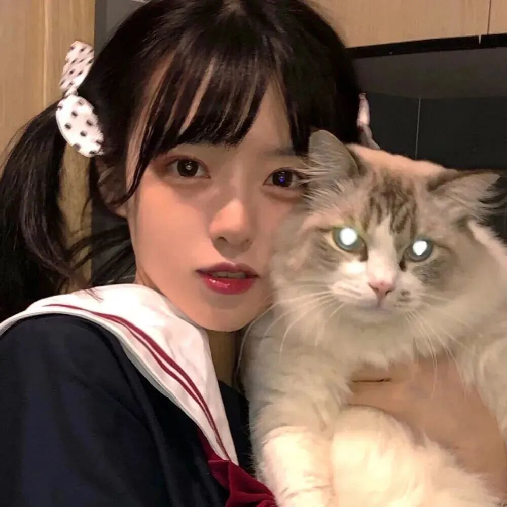 抱着猫咪甜妹女生头像