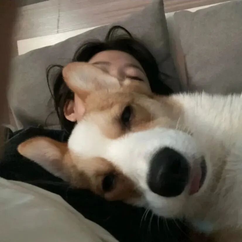 氛围感女生头像