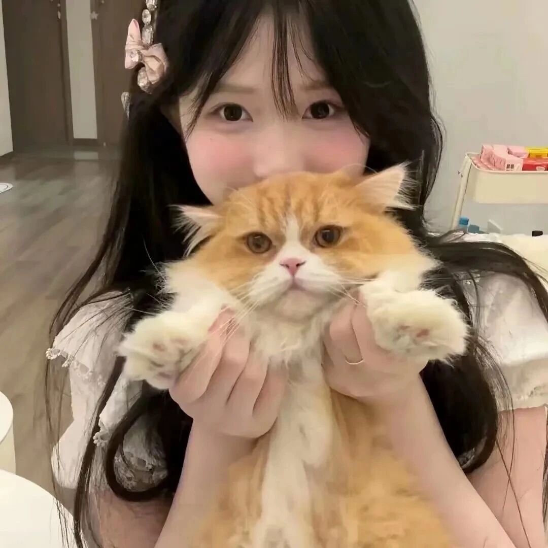 抱着猫咪少萝女生头像