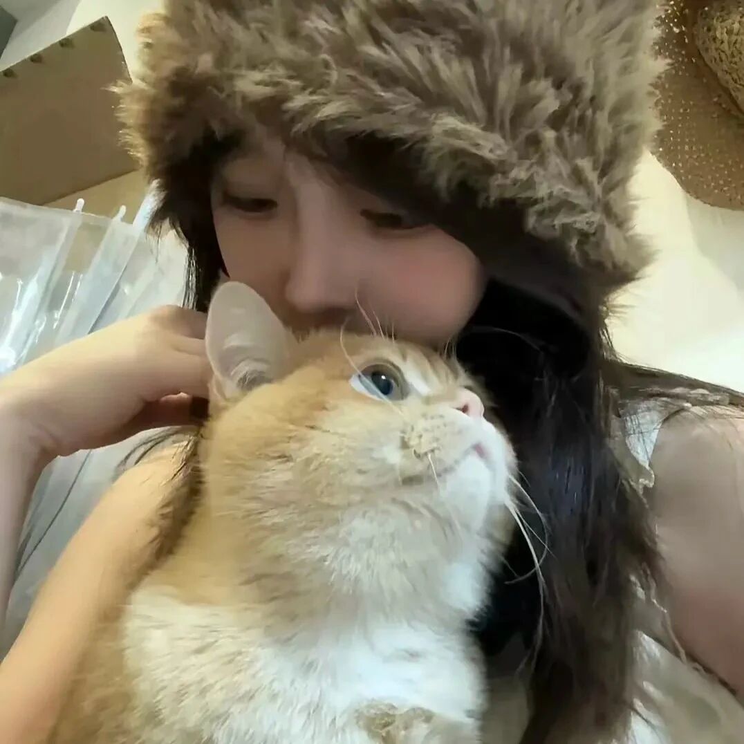 抱着猫咪少萝女生头像