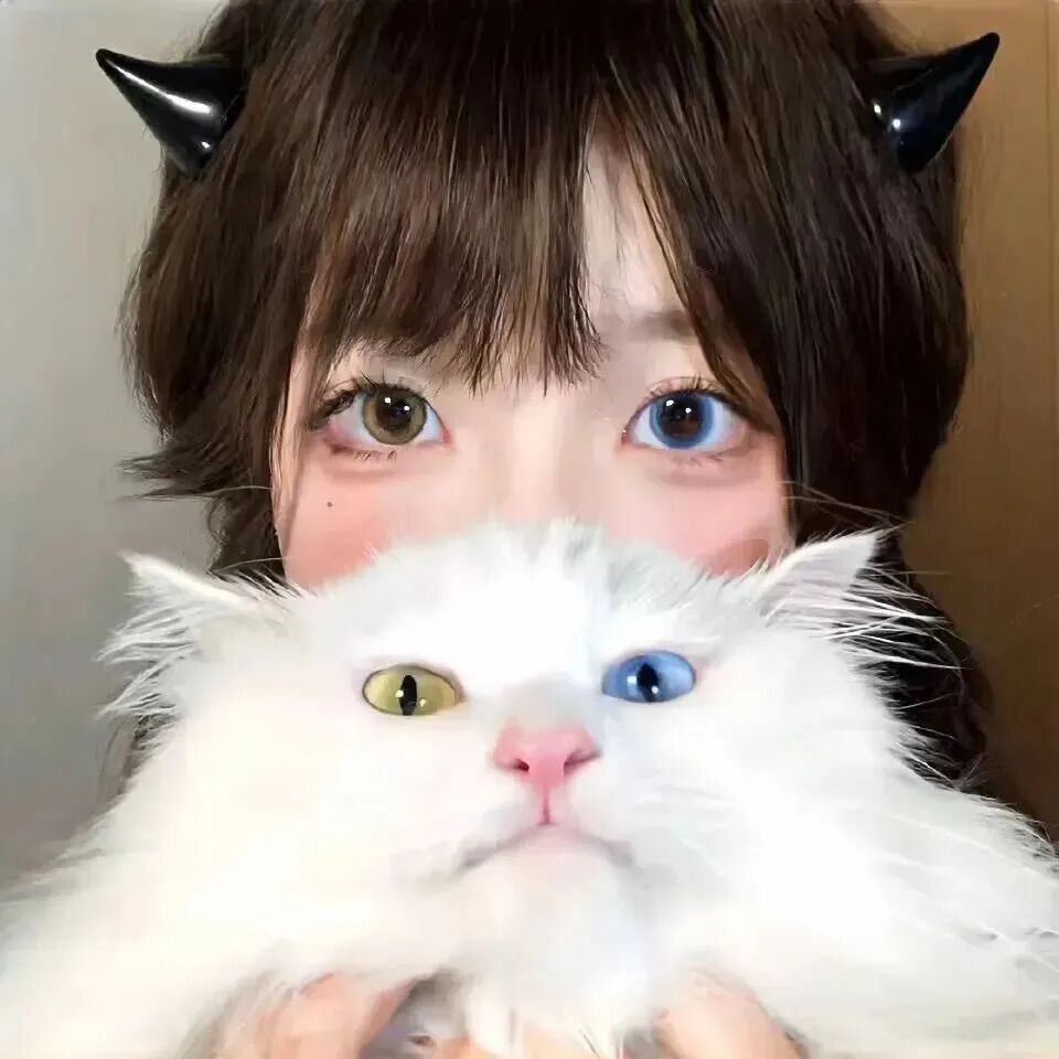 抱着猫咪少萝女生头像
