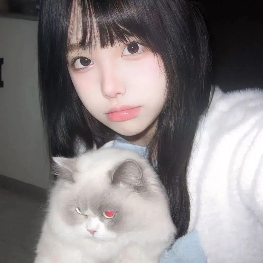 抱着猫咪少萝女生头像