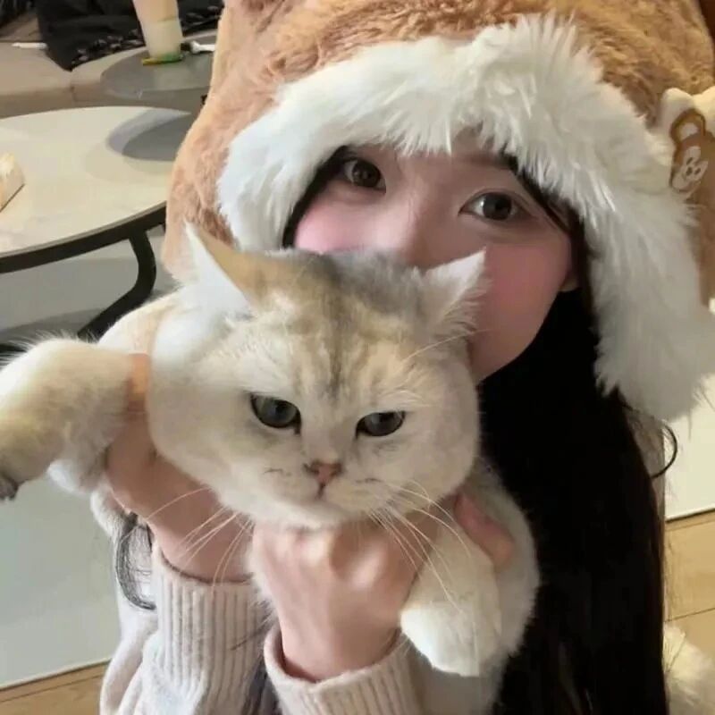 抱着猫咪少萝女生头像
