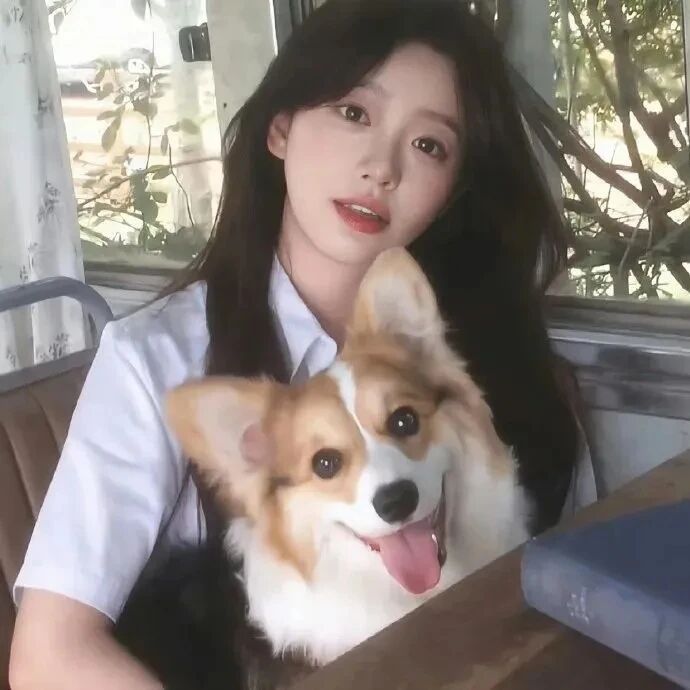 抱着狗狗小众女生头像