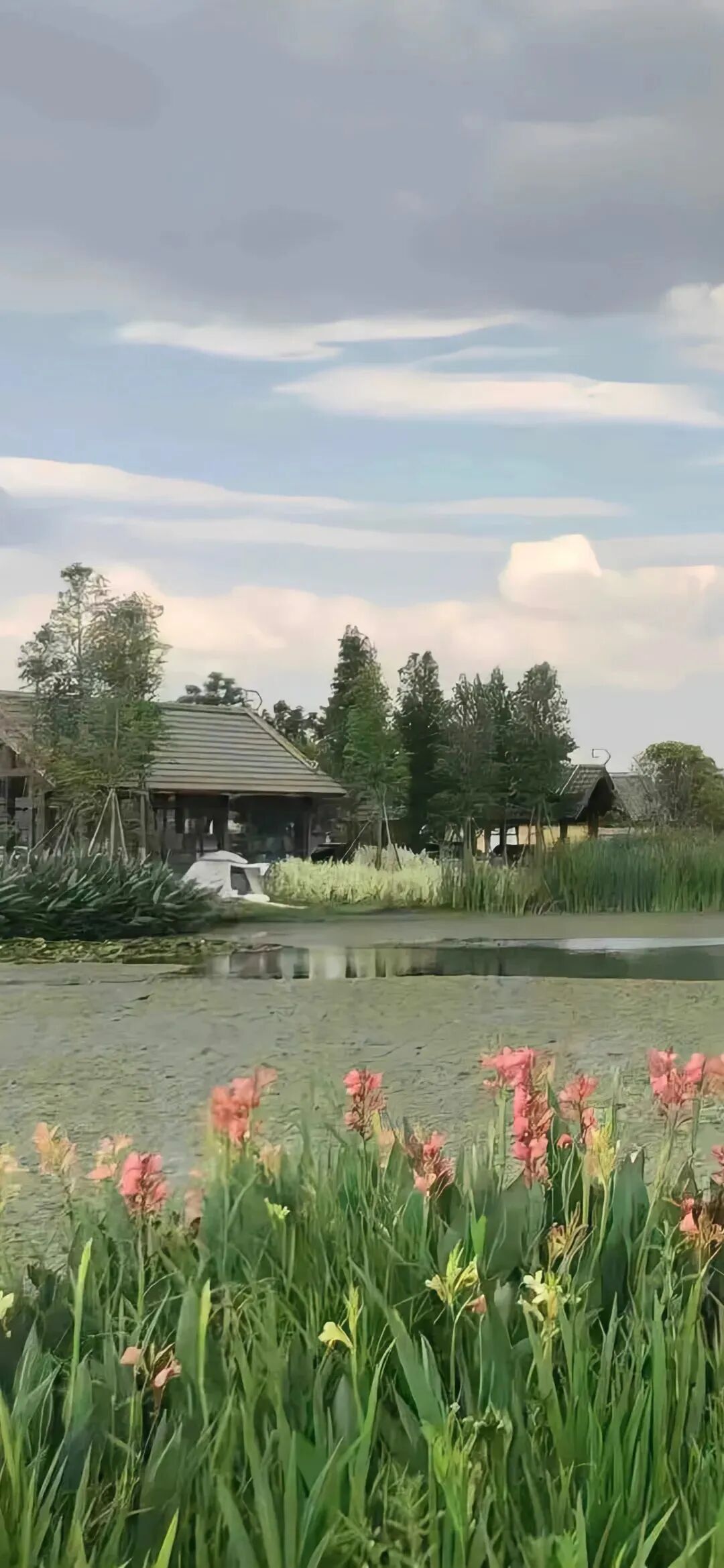 风景
