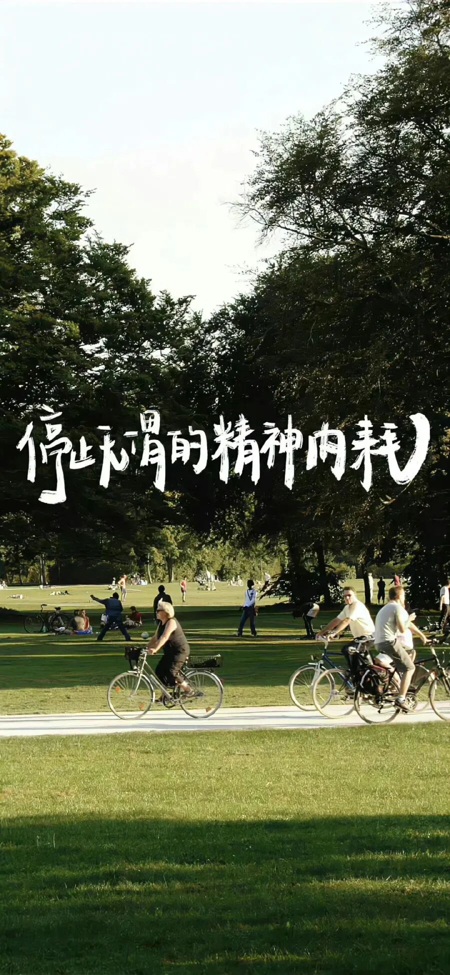 风景