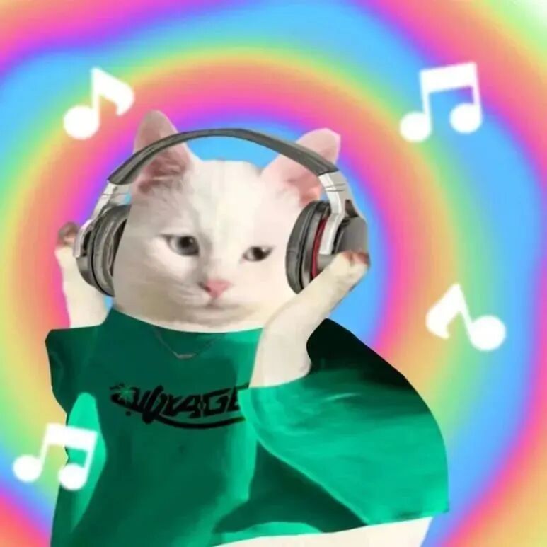 五彩斑斓蹦迪猫咪萌宠头像