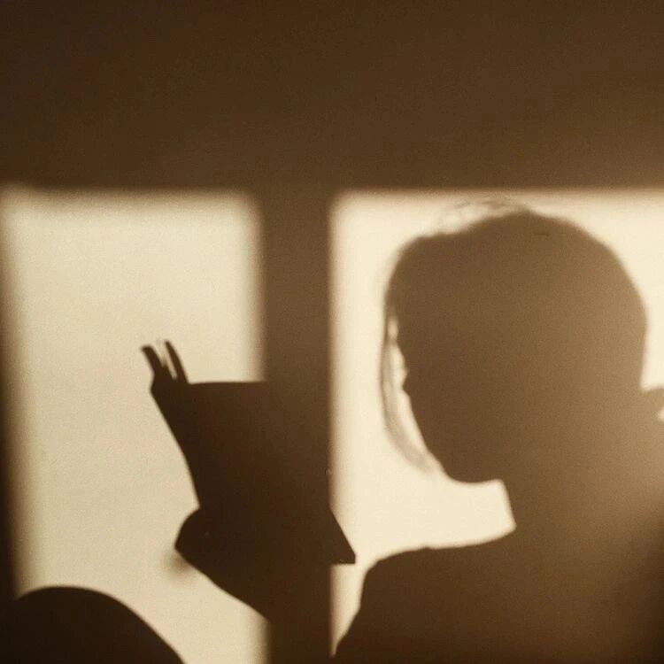 看书氛围感不露脸女生头像