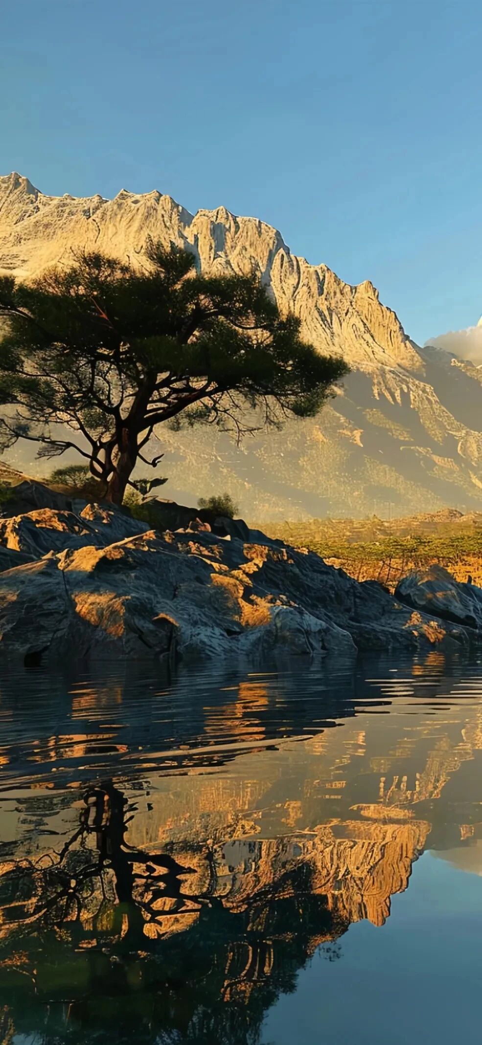 风景