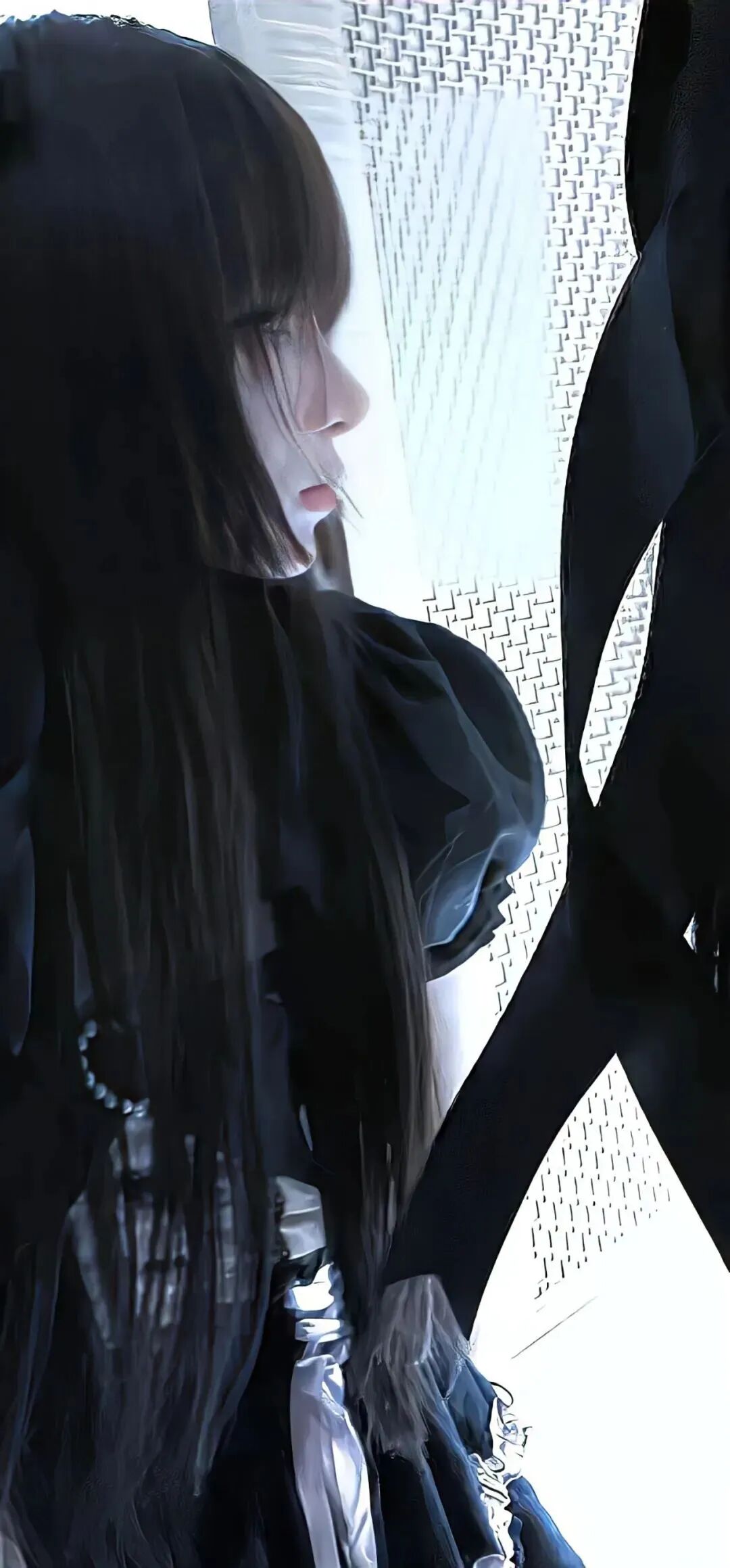 抖音热门