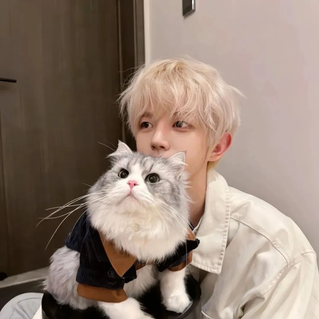 抱着猫咪小众男生头像