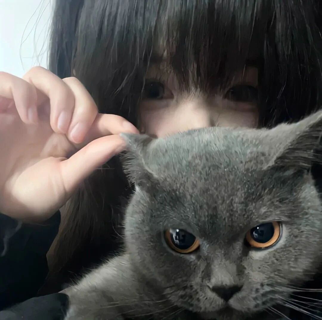 抱着猫咪少萝女生头像